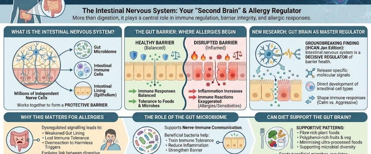 The Gut Brain and Allergies